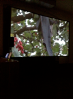 "Le déjeuner sur l’arbre", 2012, Videoinstallation, Soundperformance