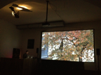 "Le déjeuner sur l’arbre", 2012, Videoinstallation, Soundperformance